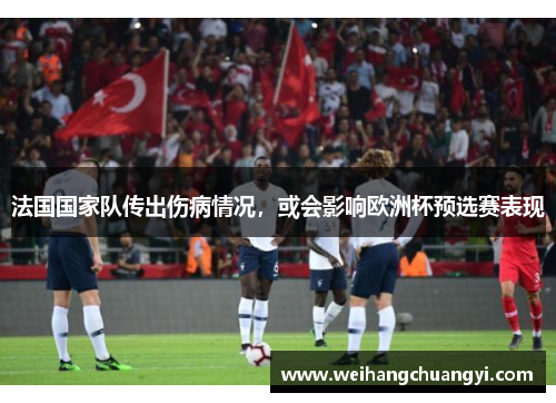 法国国家队传出伤病情况，或会影响欧洲杯预选赛表现
